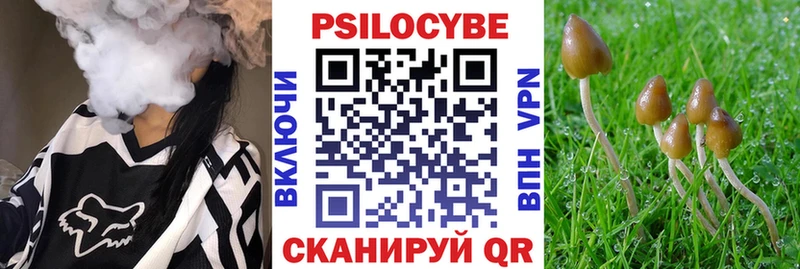 Псилоцибиновые грибы мухоморы  MEGA ссылки  Ершов 