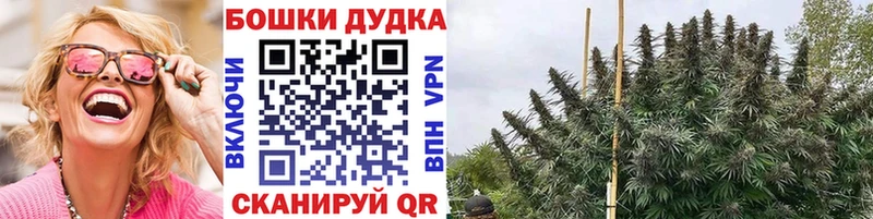 наркотики Ершов Бошки марихуана OG Kush